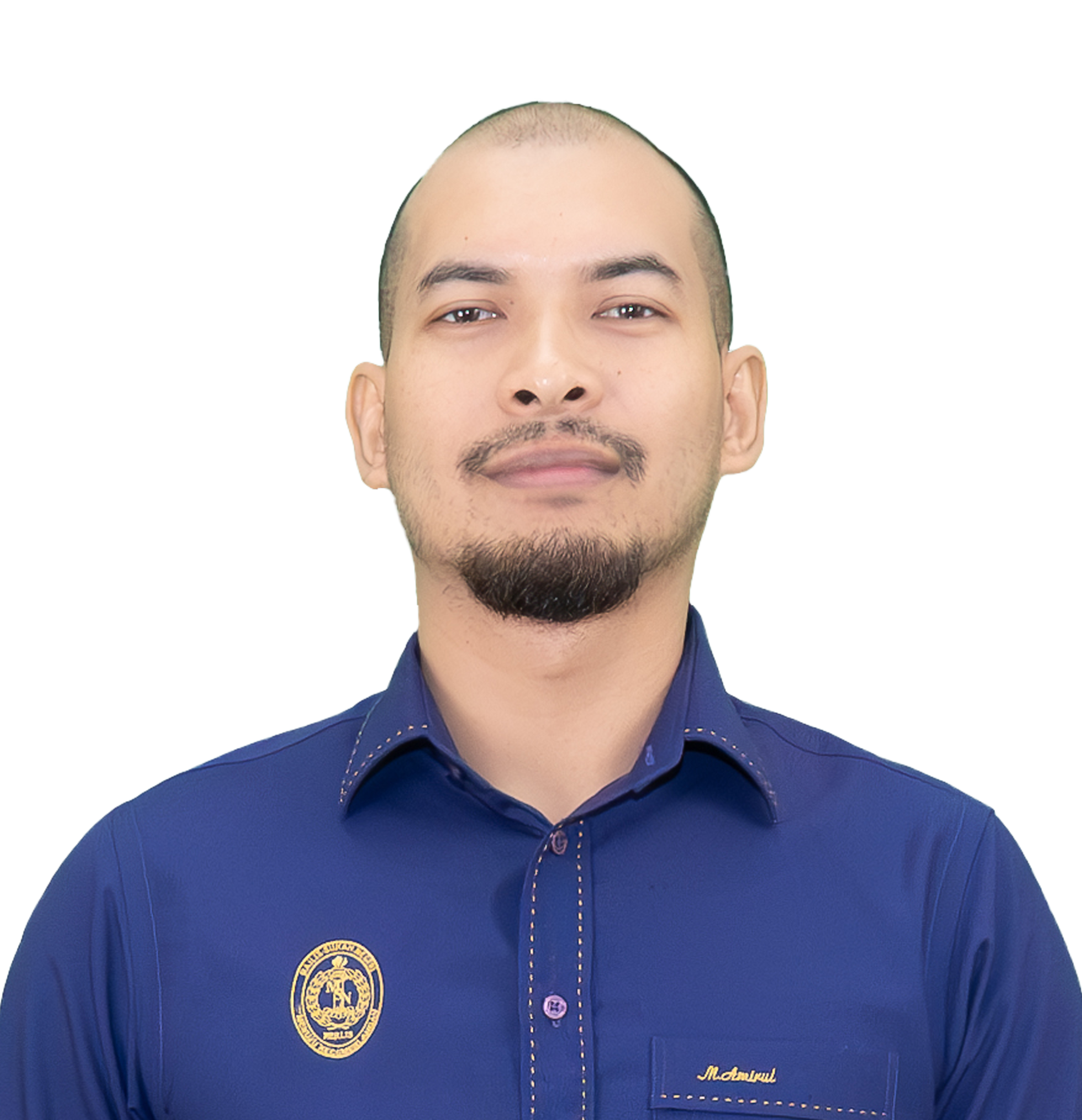 MUHAMMAD AMIRUL BIN KAMARUDDIN